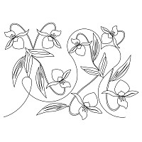 lady slipper pano 001